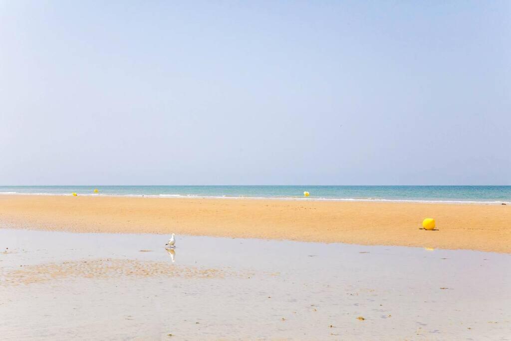 Apartment Deauville - 3min Blonville-sur-Mer